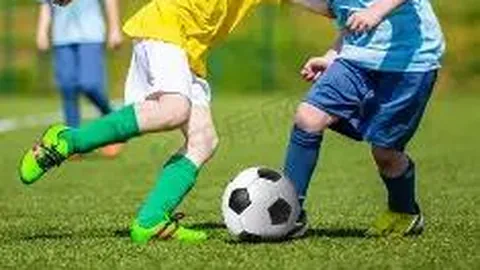 娱乐明星投资风向标：股市追星现象解析