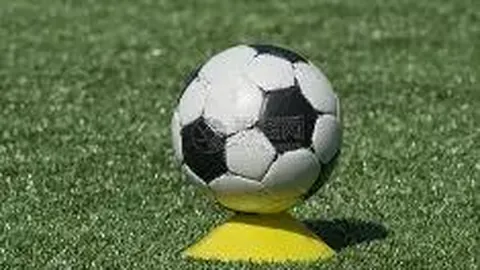 BBIN真人官网 产品 123951 kz6