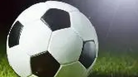 BBIN真人官网 资讯 124010 ozg